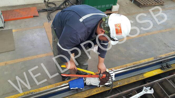welpro project images